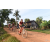 Team 174 / Raid Amazones Cambodge - J5 VTT