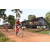 Team 175 / Raid Amazones Cambodge - J5 VTT
