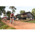 Team 172 / Raid Amazones Cambodge - J5 VTT