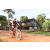 Team 159 / Raid Amazones Cambodge - J5 VTT