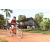 Team 166 / Raid Amazones Cambodge - J5 VTT