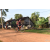 Team 146 / Raid Amazones Cambodge - J5 VTT