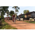Team 137 / Raid Amazones Cambodge - J5 VTT