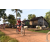 Team 137 / Raid Amazones Cambodge - J5 VTT
