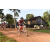 Team 138 / Raid Amazones Cambodge - J5 VTT