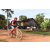 Team 124 / Raid Amazones Cambodge - J5 VTT