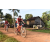 Team 133 / Raid Amazones Cambodge - J5 VTT