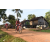 Team 114 / Raid Amazones Cambodge - J5 VTT