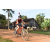 Team 109 / Raid Amazones Cambodge - J5 VTT