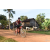 Team 104 / Raid Amazones Cambodge - J5 VTT
