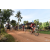 Team 116 / Raid Amazones Cambodge - J5 VTT