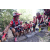 Team 146 / Raid Amazones Cambodge - J5 VTT