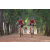 Team 02 / Raid Amazones Cambodge - J5 VTT