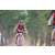 Team 17 / Raid Amazones Cambodge - J5 VTT