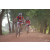 Team 30 / Raid Amazones Cambodge - J5 VTT