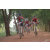 Team 08 / Raid Amazones Cambodge - J5 VTT