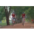 Team 51 / Raid Amazones Cambodge - J5 VTT