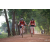 Team 03 / Raid Amazones Cambodge - J5 VTT
