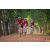 Team 156 / Raid Amazones Cambodge - J5 VTT