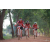 Team 157 / Raid Amazones Cambodge - J5 VTT