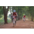 Team 155 / Raid Amazones Cambodge - J5 VTT