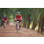 Team 165 / Raid Amazones Cambodge - J5 VTT