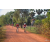 Team 12 / Raid Amazones Cambodge - J5 VTT