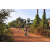 Team 19 / Raid Amazones Cambodge - J5 VTT
