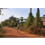 Team 10 / Raid Amazones Cambodge - J5 VTT