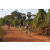 Team 08 / Raid Amazones Cambodge - J5 VTT