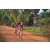 Team 175 / Raid Amazones Cambodge - J5 VTT
