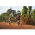 Team 167 / Raid Amazones Cambodge - J5 VTT