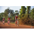 Team 151 / Raid Amazones Cambodge - J5 VTT