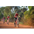 Team 166 / Raid Amazones Cambodge - J5 VTT