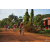 Team 150 / Raid Amazones Cambodge - J5 VTT
