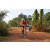 Team 173 / Raid Amazones Cambodge - J5 VTT