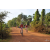 Team 148 / Raid Amazones Cambodge - J5 VTT