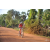Team 148 / Raid Amazones Cambodge - J5 VTT
