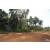 Team 49 / Raid Amazones Cambodge - J5 VTT