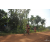Team 138 / Raid Amazones Cambodge - J5 VTT