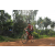 Team 104 / Raid Amazones Cambodge - J5 VTT