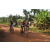 Team 146 / Raid Amazones Cambodge - J5 VTT
