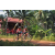 Team 115 / Raid Amazones Cambodge - J5 VTT