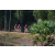 Team 62 / Raid Amazones Cambodge - J5 VTT