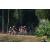 Team 119 / Raid Amazones Cambodge - J5 VTT