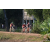 Team 55 / Raid Amazones Cambodge - J5 VTT