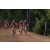 Team 43 / Raid Amazones Cambodge - J5 VTT