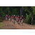 Team 49 / Raid Amazones Cambodge - J5 VTT