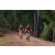 Team 28 / Raid Amazones Cambodge - J5 VTT