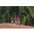 Team 116 / Raid Amazones Cambodge - J5 VTT